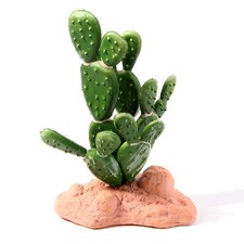 Betta Terra Cactus 15cm Vivarium Terrarium Reptile Decor Ornament