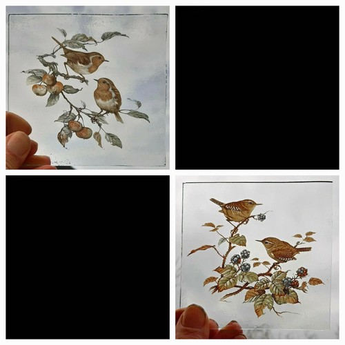 Stained glass bird - glass, 2