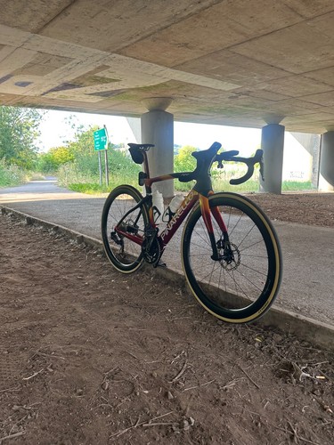 Pinarello dogma customer - dogma,