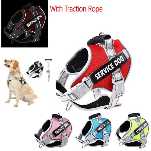 Service dog harness pull - dog,