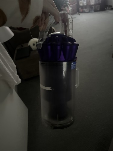 Dyson dc40 animal purple - dyson,