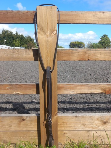 Pony running martingale - pony,