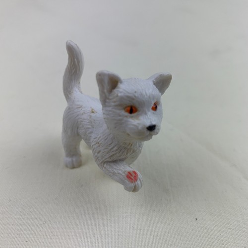 Kitty pocket animal - in, my