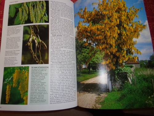 The living countryside - living,