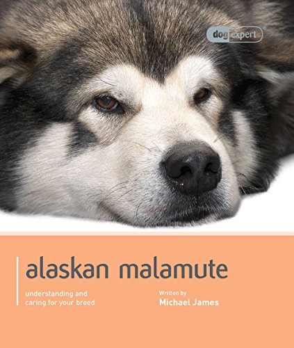 Alaskan malamute - alaskan, (dog