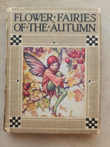Flower fairies the autumn - flower,