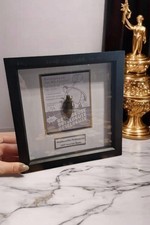 Beetlejuice Taxidermy