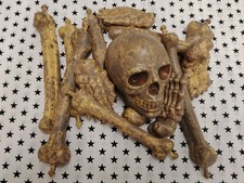 Bag Of Bones & Skull Party