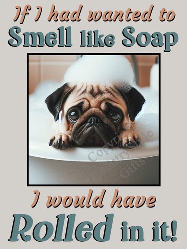 Pug pet dog funny - pug, flexible