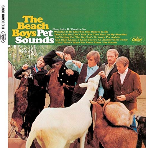 Beach boys pet - boys, sounds