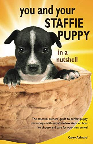 You and your staffie - staffie, puppy