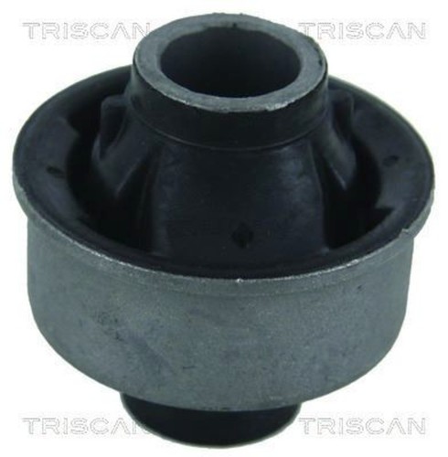 Triscan control arm - control, bearing