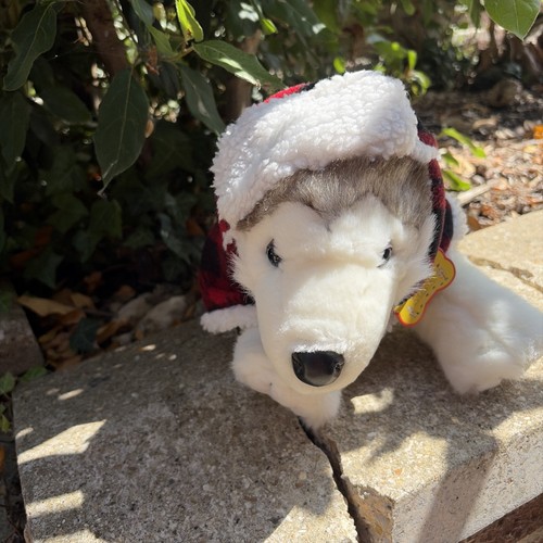 Build bear husky - bear,