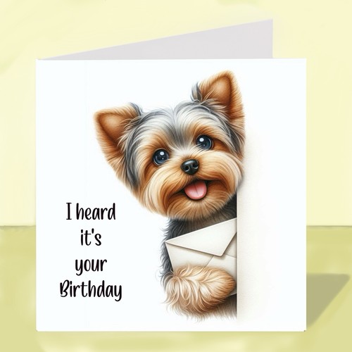 Yorkshire terrier dog - yorkshire, birthday