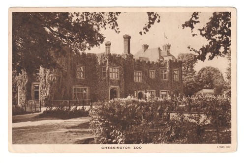 Chessington zoo burnt - -, 'burnt
