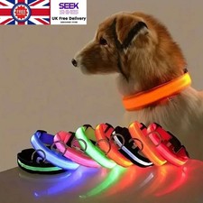 LED Dog Pet Collar Flashing