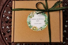 Seed Sowing Kit-Choose from 3 Types-Lithops/Cacti/Succulents- Thoughtful Gift