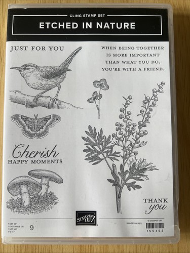 Stampin etched in - etched,