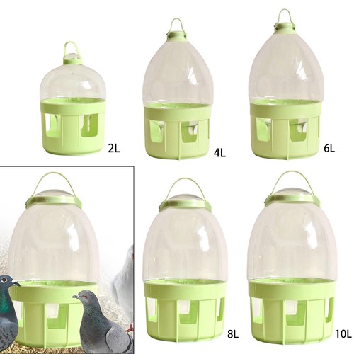 Pigeon water dispenser feeder - pigeon,