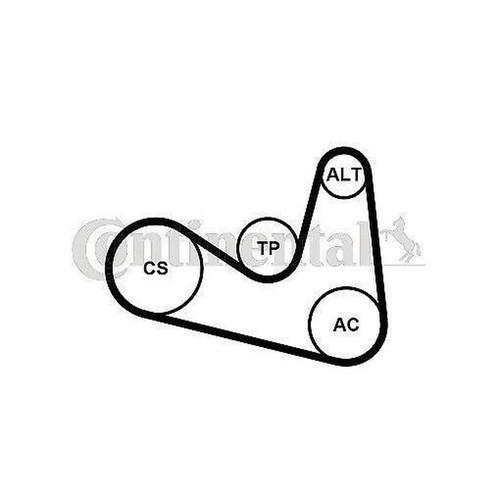 Continental ctam 6pk1180k2 - continental,