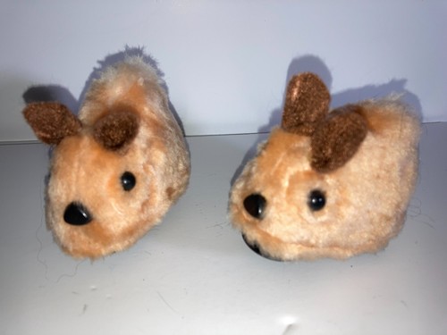 Hamsters untested - x,
