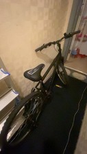 Apollo Mountain Bike Fresh Out