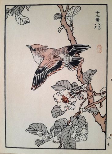 Bairei waxwing print an - print,