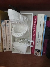 Great White Shark & Boat