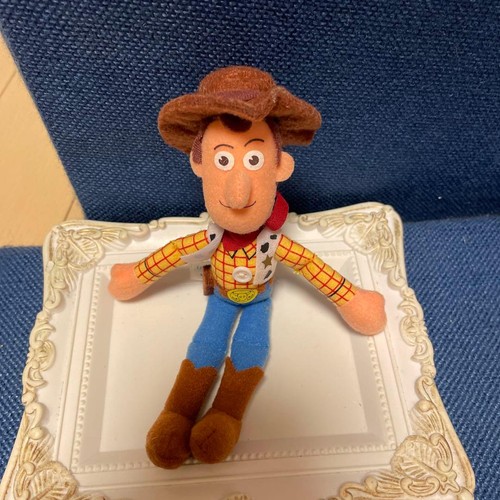 Disney resort toy story - resort, woody