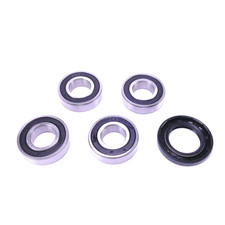 Rear Wheel Bearing Set For