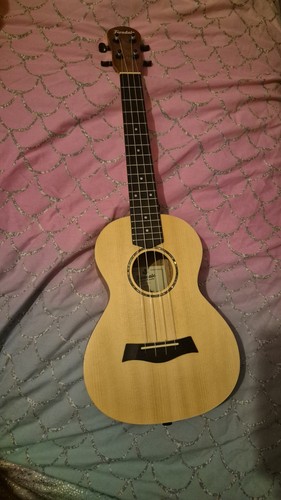 Ferndale ukelele concert - ferndale,