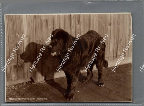 Antique hastings england - antique,