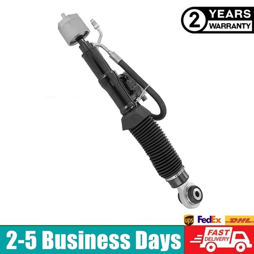 Rear hydraulic shock - rear, lh
