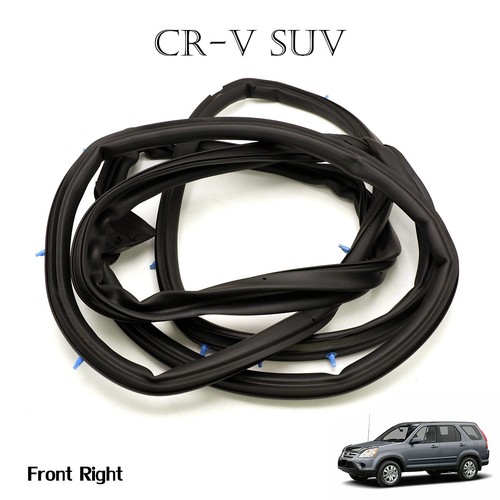 Front door rubber - front, rh