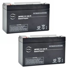 2 X 6 VOLT 12AH BAIT BOAT