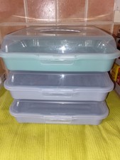 Buffet/Sandwich Boxes lock seal for freshness easy Carrying, Only Used 3 Times