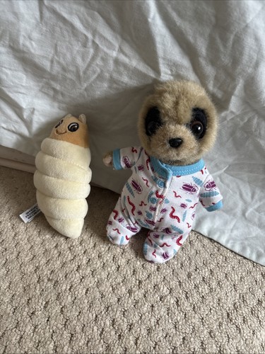 Baby oleg meerkat - oleg, with
