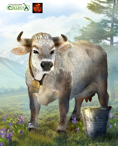 Tyrolean grey cow with - tyrolean, bell