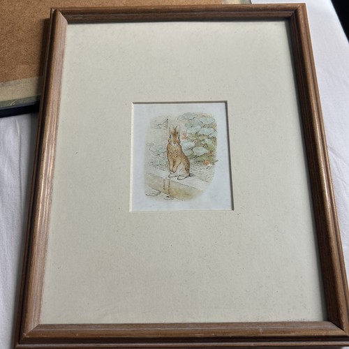 Vintage beatrix potter peter - beatrix,