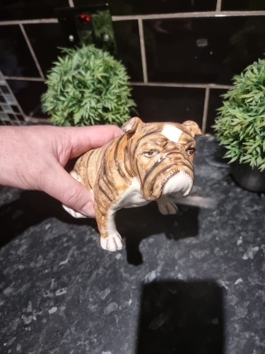 Goldscheider brindle bull dog - brindle,