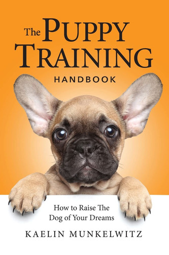 The puppy training - puppy,