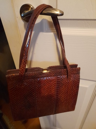 Vintage brown snake skin - snake,