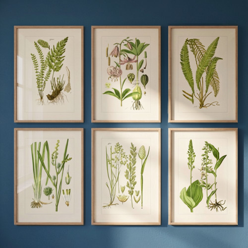 Set woodland fern art - set,