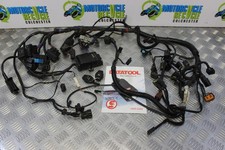 Triumph Tiger 800 Wiring