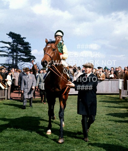 1970 nijinsky lester - lester, piggott