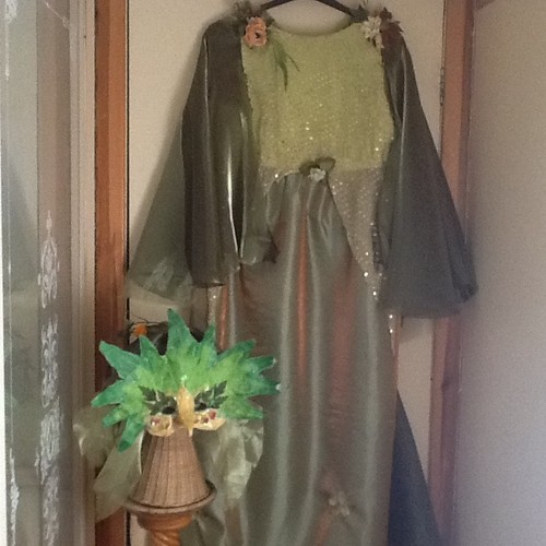Adult woodland fairy costume - fairy,