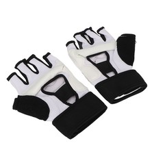 Taekwondo Sparring Adult Kid