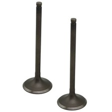 Intake & Exhaust Valves stem