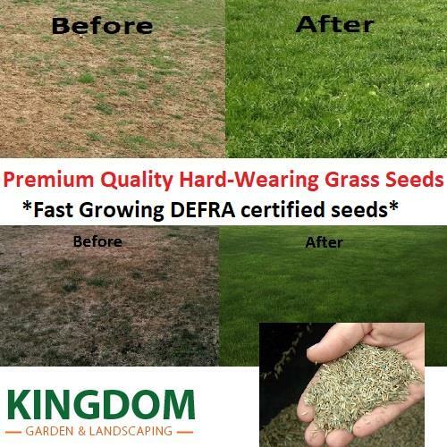 Grass seed hard wearing lawn - seed,