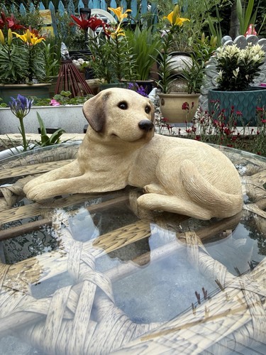 Sandicast labrador retriever - sandicast,